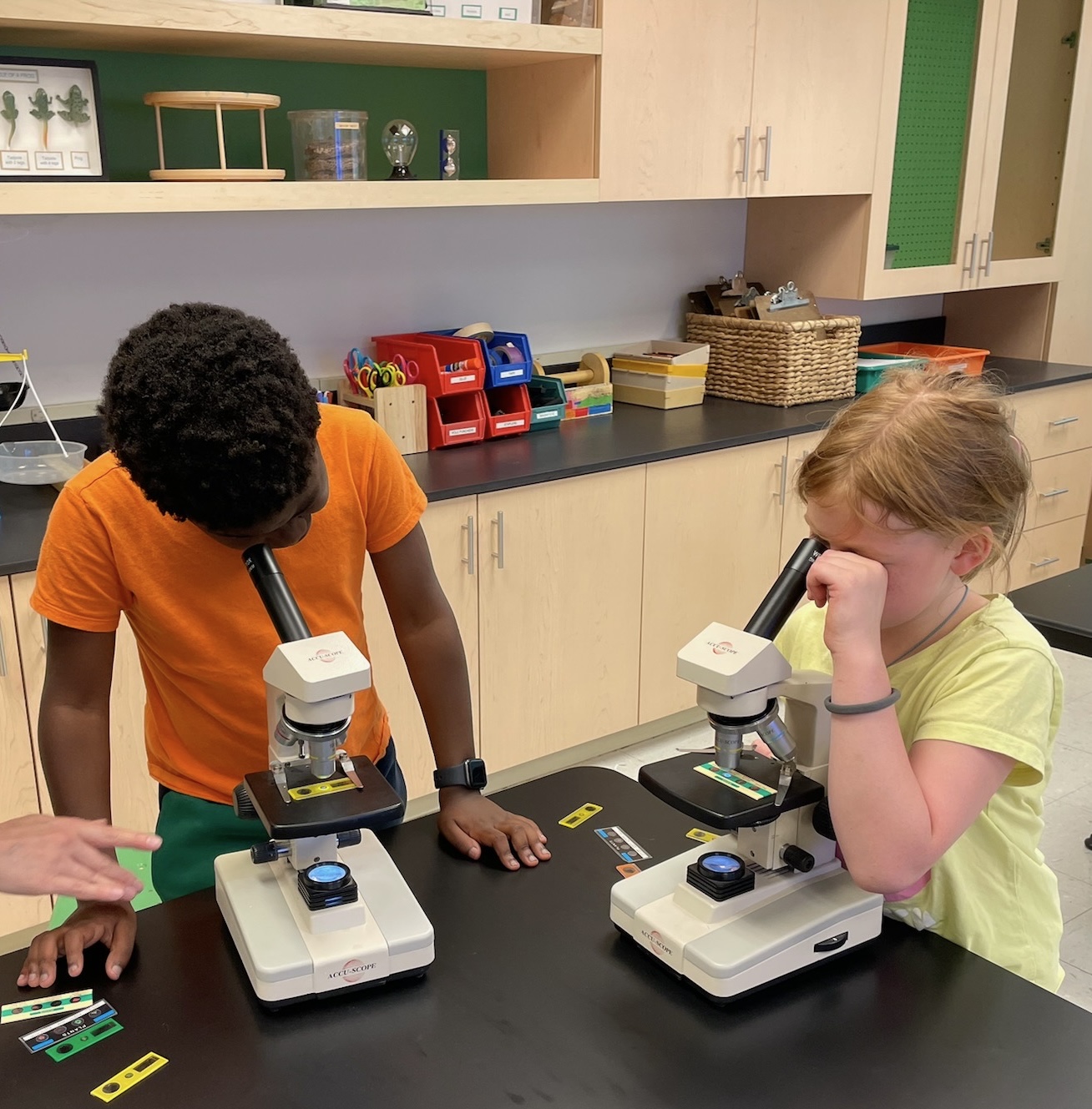 young student in classroom looking through microscope